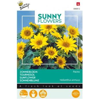 Soleil Pacino - Buzzy Sunny Flowers