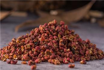 Zanthoxylum piperitum 60 80 Pot C5 - Poivrier du Sichuan